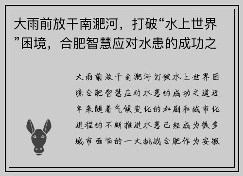 大雨前放干南淝河，打破“水上世界”困境，合肥智慧应对水患的成功之道